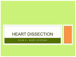 HEART DISSECTION
YEAR 8 – BODY SYSTEMS

 
