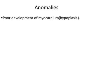 Anomalies
Poor development of myocardium(hypoplasia).
 