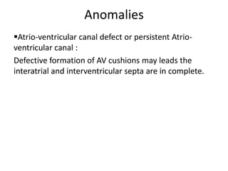 Anomalies
Atrio-ventricular canal defect or persistent Atrio-
ventricular canal :
Defective formation of AV cushions may leads the
interatrial and interventricular septa are in complete.
 