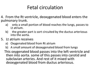 Fetal circulation
4. From the Rt ventricle, deoxygenated blood enters the
pulmonary trunk.
  a)  only a small portion of blood reaches the lungs, passes to
     Lt atrium.
  b) the greater part is sort circuited by the ductus arteriosus
     into the aorta.
5. Lt atrium receives
  a) Oxygenated blood from Rt atrium
  b) A small amount of deoxygenated blood from lungs
  This oxygenated blood passes into the left ventricle and
   then into aorta. some of this passes into carotid and
   subclavian arteries. And rest of it mixed with
   deoxygenated blood from ductus arteriosus.
 
