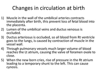 Changes in circulation at birth
1) Muscle in the wall of the umbilical arteries contracts
   immediately after birth, this prevent loss of fetal blood into
   the placenta.
2) Lumen of the umbilical veins and ductus venosus is
   occluded.
3) Ductus arteriosus is occluded, so all blood from Rt ventricle
   goes to the lungs, is caused by contraction of muscle in the
   vessel wall.
4) Through pulmonary vessels much larger volume of blood
   reaches the Lt atrium, causing the valve of foramen ovale to
   close.
5) When the new born cries, rise of pressure in the Rt atrium
   leading to a temporary shunt to the left. This can cause
   cynosis.
 