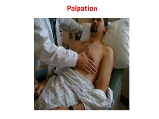 Palpation
 