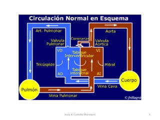 3Jesús A. Custodio Marroquín