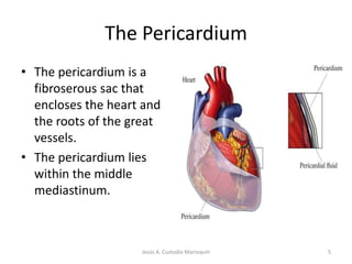 The PericardiumThe pericardium is a fibroserous sac that encloses the heart and the roots of the great vessels.The pericardium lies within the middle mediastinum.5Jesús A. Custodio Marroquín