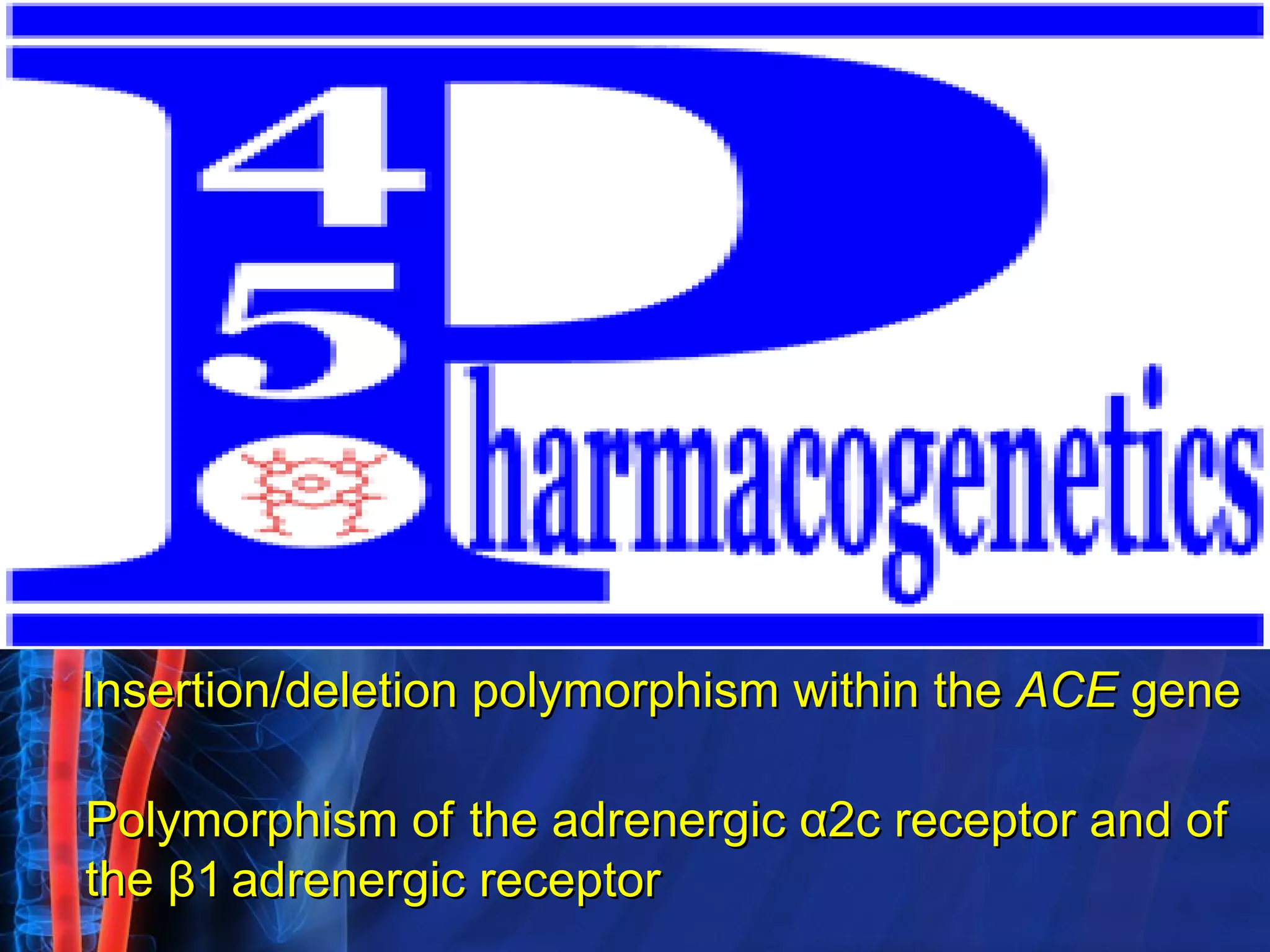 Insertion/deletion polymorphism within the  ACE  gene Polymorphism of   the adrenergic  α 2c receptor and of  the   β1   adrenergic receptor 