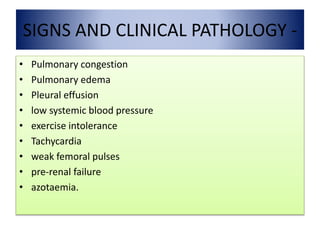 SIGNS AND CLINICAL PATHOLOGY -
• Pulmonary congestion
• Pulmonary edema
• Pleural effusion
• low systemic blood pressure
• exercise intolerance
• Tachycardia
• weak femoral pulses
• pre-renal failure
• azotaemia.
 