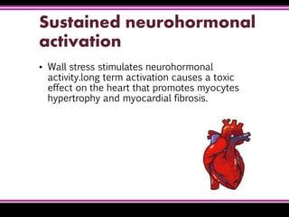 Sustained neurohormonal
activation
▪ Wall stress stimulates neurohormonal
activity.long term activation causes a toxic
effect on the heart that promotes myocytes
hypertrophy and myocardial fibrosis.
 