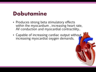 Dobutamine
▪ Produces strong beta stimulatory effects
within the myocardium , increasing heart rate,
AV conduction and myocardial contractility..
▪ Capable of increasing cardiac output without
increasing myocardial oxygen demands.
 