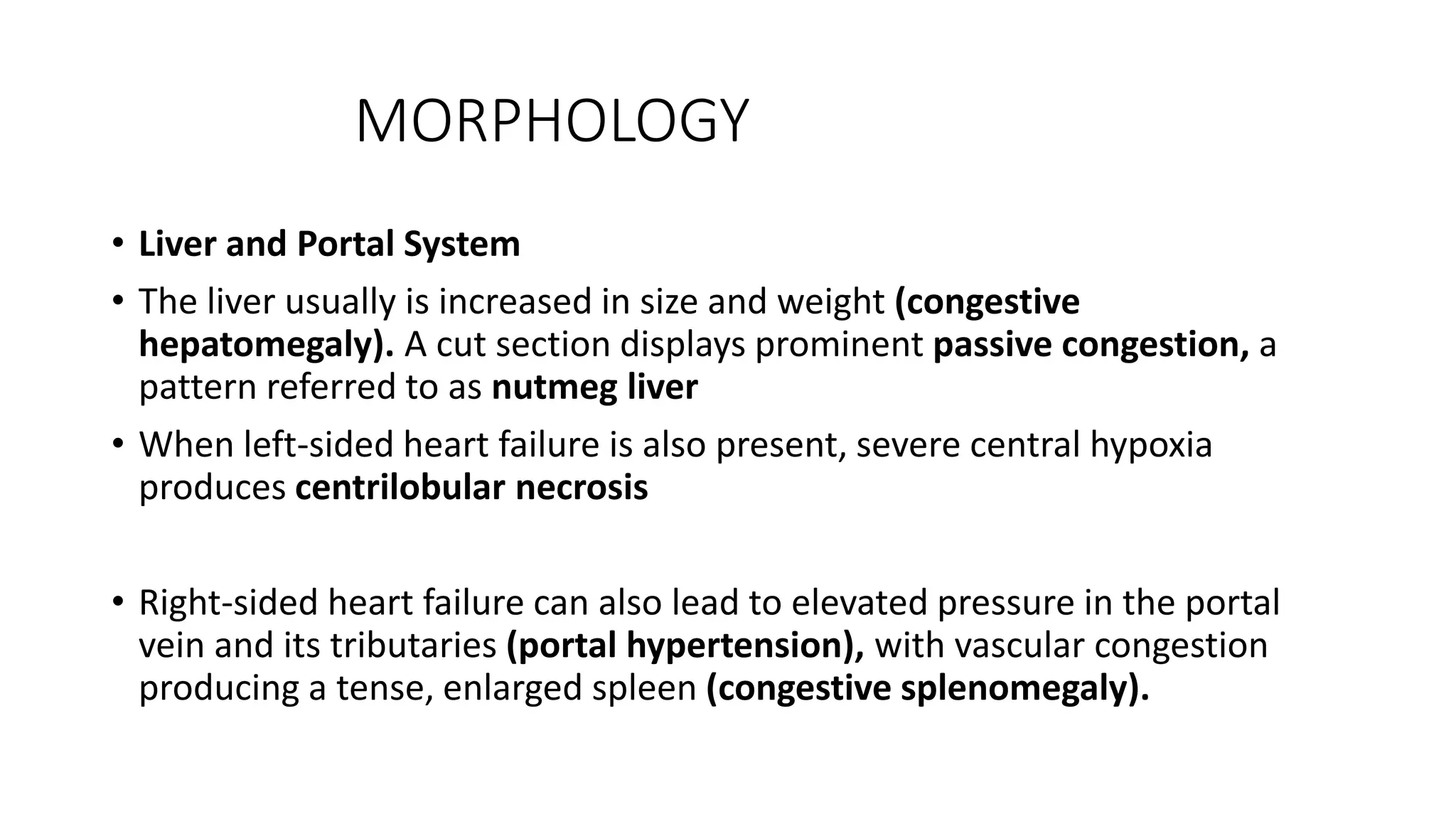 MORPHOLOGY
• Liver and Portal System
• The liver usually is increased in size and weight (congestive
hepatomegaly). A cut section displays prominent passive congestion, a
pattern referred to as nutmeg liver
• When left-sided heart failure is also present, severe central hypoxia
produces centrilobular necrosis
• Right-sided heart failure can also lead to elevated pressure in the portal
vein and its tributaries (portal hypertension), with vascular congestion
producing a tense, enlarged spleen (congestive splenomegaly).
 