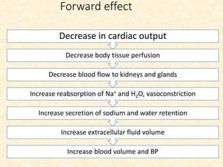 Forward effect
Increase blood volume and BP
Increase extracellular fluid volume
Increase secretion of sodium and water retention
Increase reabsorption of Na+ and H2O, vasoconstriction
Decrease blood flow to kidneys and glands
Decrease body tissue perfusion
Decrease in cardiac output
 
