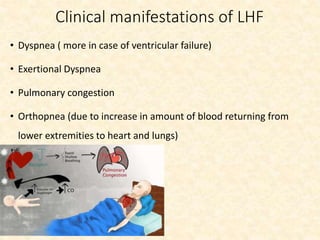 Clinical manifestations of LHF
• Dyspnea ( more in case of ventricular failure)
• Exertional Dyspnea
• Pulmonary congestion
• Orthopnea (due to increase in amount of blood returning from
lower extremities to heart and lungs)
 