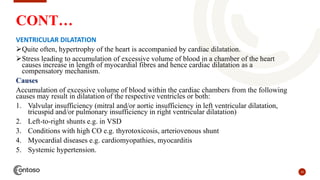 10
CONT…
VENTRICULAR DILATATION
Quite often, hypertrophy of the heart is accompanied by cardiac dilatation.
Stress leading to accumulation of excessive volume of blood in a chamber of the heart
causes increase in length of myocardial fibres and hence cardiac dilatation as a
compensatory mechanism.
Causes
Accumulation of excessive volume of blood within the cardiac chambers from the following
causes may result in dilatation of the respective ventricles or both:
1. Valvular insufficiency (mitral and/or aortic insufficiency in left ventricular dilatation,
tricuspid and/or pulmonary insufficiency in right ventricular dilatation)
2. Left-to-right shunts e.g. in VSD
3. Conditions with high CO e.g. thyrotoxicosis, arteriovenous shunt
4. Myocardial diseases e.g. cardiomyopathies, myocarditis
5. Systemic hypertension.
 