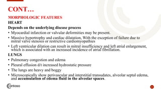 22
CONT…
MORPHOLOGIC FEATURES
HEART
Depends on the underlying disease process
• Myocardial infarction or valvular deformities may be present.
• Massive hypertrophy and cardiac dilatation, With the exception of failure due to
mitral valve stenosis or restrictive cardiomyopathies
• Left ventricular dilation can result in mitral insufficiency and left atrial enlargement,
which is associated with an increased incidence of atrial fibrillation.
LUNGS
• Pulmonary congestion and edema
• Pleural effusion d/t increased hydrostatic pressure
• The lungs are heavy and boggy
• Microscopically show perivascular and interstitial transudates, alveolar septal edema,
and accumulation of edema fluid in the alveolar spaces.
 