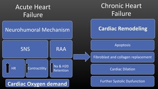 Chronic Heart
Failure
Neurohumoral Mechanism
SNS
HR Contractility
RAA
Na & H20
Retention
Apoptosis
Fibroblast and collagen replacement
Cardiac Dilation
Further Systolic Dysfunction
Cardiac Oxygen demand
Cardiac Remodeling
Acute Heart
Failure
 