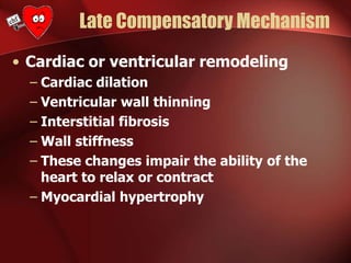 • Cardiac or ventricular remodeling
– Cardiac dilation
– Ventricular wall thinning
– Interstitial fibrosis
– Wall stiffness
– These changes impair the ability of the
heart to relax or contract
– Myocardial hypertrophy
Late Compensatory Mechanism
 