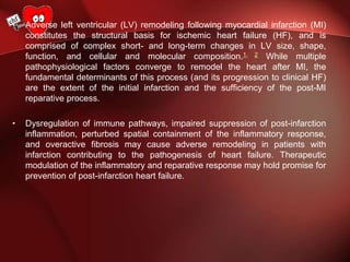 • Adverse left ventricular (LV) remodeling following myocardial infarction (MI)
constitutes the structural basis for ischemic heart failure (HF), and is
comprised of complex short- and long-term changes in LV size, shape,
function, and cellular and molecular composition.1, 2 While multiple
pathophysiological factors converge to remodel the heart after MI, the
fundamental determinants of this process (and its progression to clinical HF)
are the extent of the initial infarction and the sufficiency of the post-MI
reparative process.
• Dysregulation of immune pathways, impaired suppression of post-infarction
inflammation, perturbed spatial containment of the inflammatory response,
and overactive fibrosis may cause adverse remodeling in patients with
infarction contributing to the pathogenesis of heart failure. Therapeutic
modulation of the inflammatory and reparative response may hold promise for
prevention of post-infarction heart failure.
 