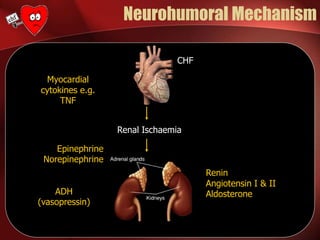 Neurohumoral Mechanism
CHF
Renal Ischaemia
Renin
Angiotensin I & II
Aldosterone
Epinephrine
Norepinephrine
ADH
(vasopressin)
Myocardial
cytokines e.g.
TNF
 