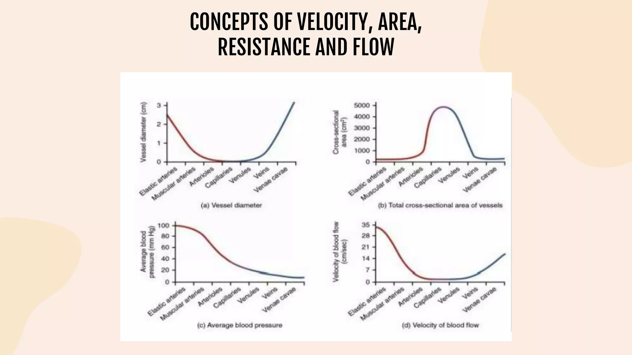 CONCEPTS OF VELOCITY, AREA,
RESISTANCE AND FLOW
 