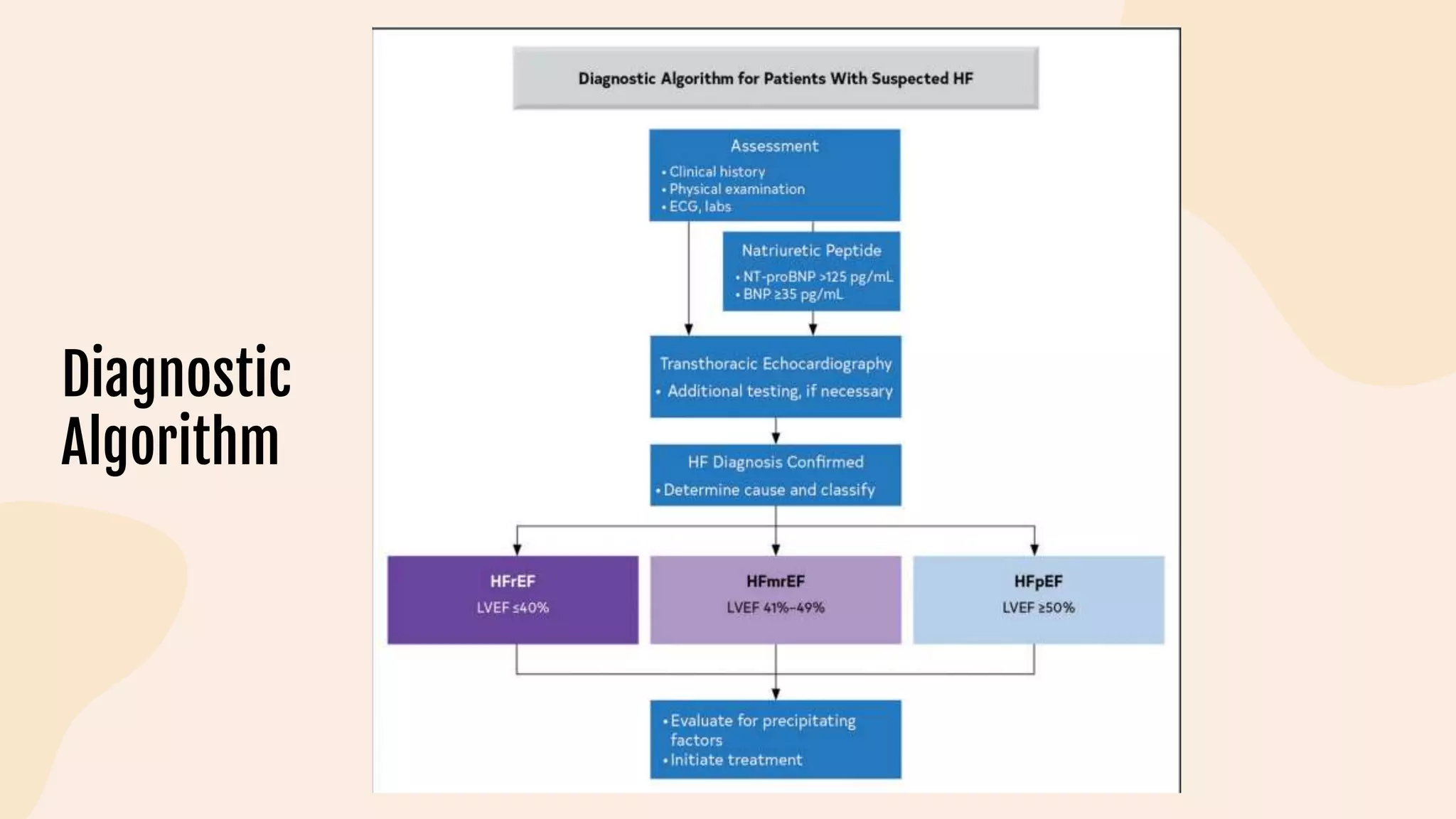 Diagnostic
Algorithm
 