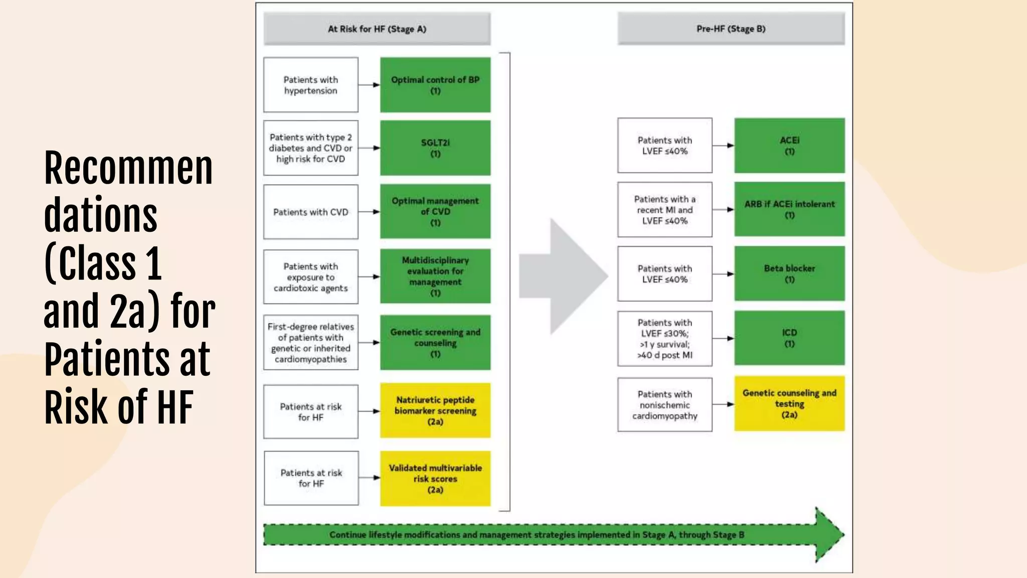 Recommen
dations
(Class 1
and 2a) for
Patients at
Risk of HF
 