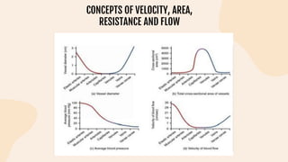 CONCEPTS OF VELOCITY, AREA,
RESISTANCE AND FLOW
 