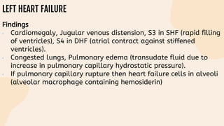 LEFT HEART FAILURE
Findings
• Cardiomegaly, Jugular venous distension, S3 in SHF (rapid filling
of ventricles), S4 in DHF (atrial contract against stiffened
ventricles).
• Congested lungs, Pulmonary edema (transudate fluid due to
increase in pulmonary capillary hydrostatic pressure).
• If pulmonary capillary rupture then heart failure cells in alveoli
(alveolar macrophage containing hemosiderin)
 