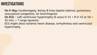 INVESTIGATIONS
• On X-Ray: Cardiomegaly, Kerley B lines (septal edema), pulmonary
vasculature congestion, air bronchogram
• On ECG - Left ventricular hypertrophy (S wave in V1 + R in V5 or V6 >
35 mm, > 7 large squares).
• ECG might show ischemic heart disease, arrhythmias and ventricular
hypertrophy.
 