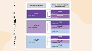 C
l
a
s
si
fi
c
a
ti
o
n
 