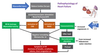 Reduce Cardiac Out put
carotid baroreceptor stimulation
Renal Perfusion/GFR
Activation of
CNS
HR & Inotropy
Myocardial toxicity
Activation of
RAAS Vasoconstriction
After load
Negative remodeling
Worsens the LV
Symptoms of HF
shortness of breaths, arrythmias,
edema, chest congestion etc
increased
angiotensin -II
From increased
Aldosterone
water retention
Hemodynamic
alteration
Preload
Myocardial injury
Pathophysiology of
Heart Failure
ANP &
BNP
Heart
CHF
 