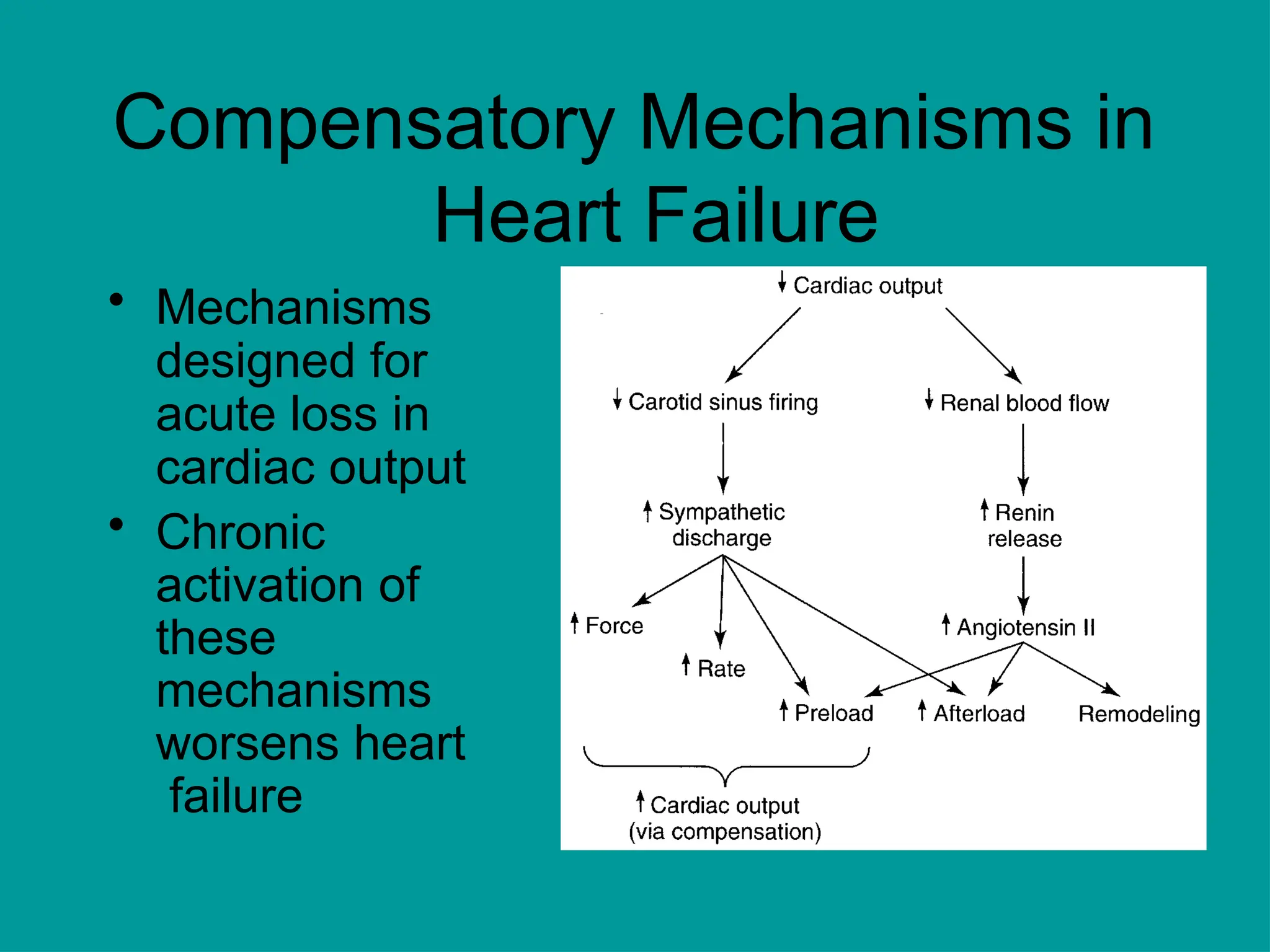 Compensatory Mechanisms in
Heart Failure
• Mechanisms
designed for
acute loss in
cardiac output
• Chronic
activation of
these
mechanisms
worsens heart
failure
 