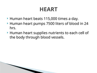  Human heart beats 115,000 times a day.
 Human heart pumps 7500 liters of blood in 24
hrs.
 Human heart supplies nutrients to each cell of
the body through blood vessels.
HEART
 