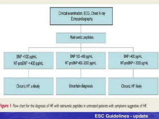 Heart failure - pathogenesis and current management | PPTX