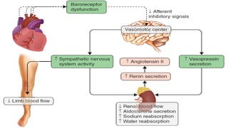 Heart Failure Definition, Pathophysiology | PPTX