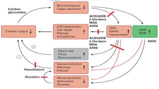 Heart Failure Definition, Pathophysiology | PPTX