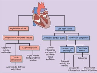 Heart failure | PPTX