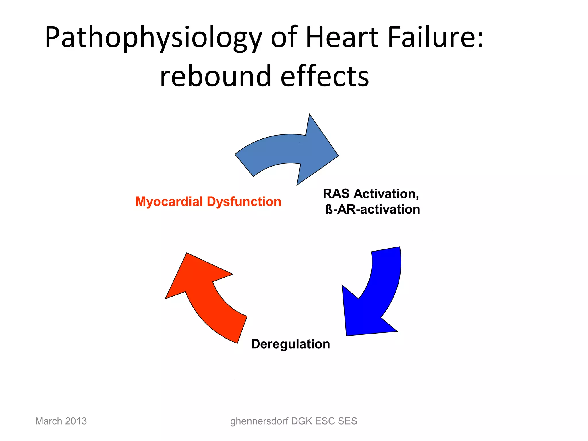 Pathophysiology of Heart Failure:
        rebound effects


                                            RAS Activation,
             Myocardial Dysfunction
                                            ß-AR-activation




                              Deregulation




March 2013                 ghennersdorf DGK ESC SES
 