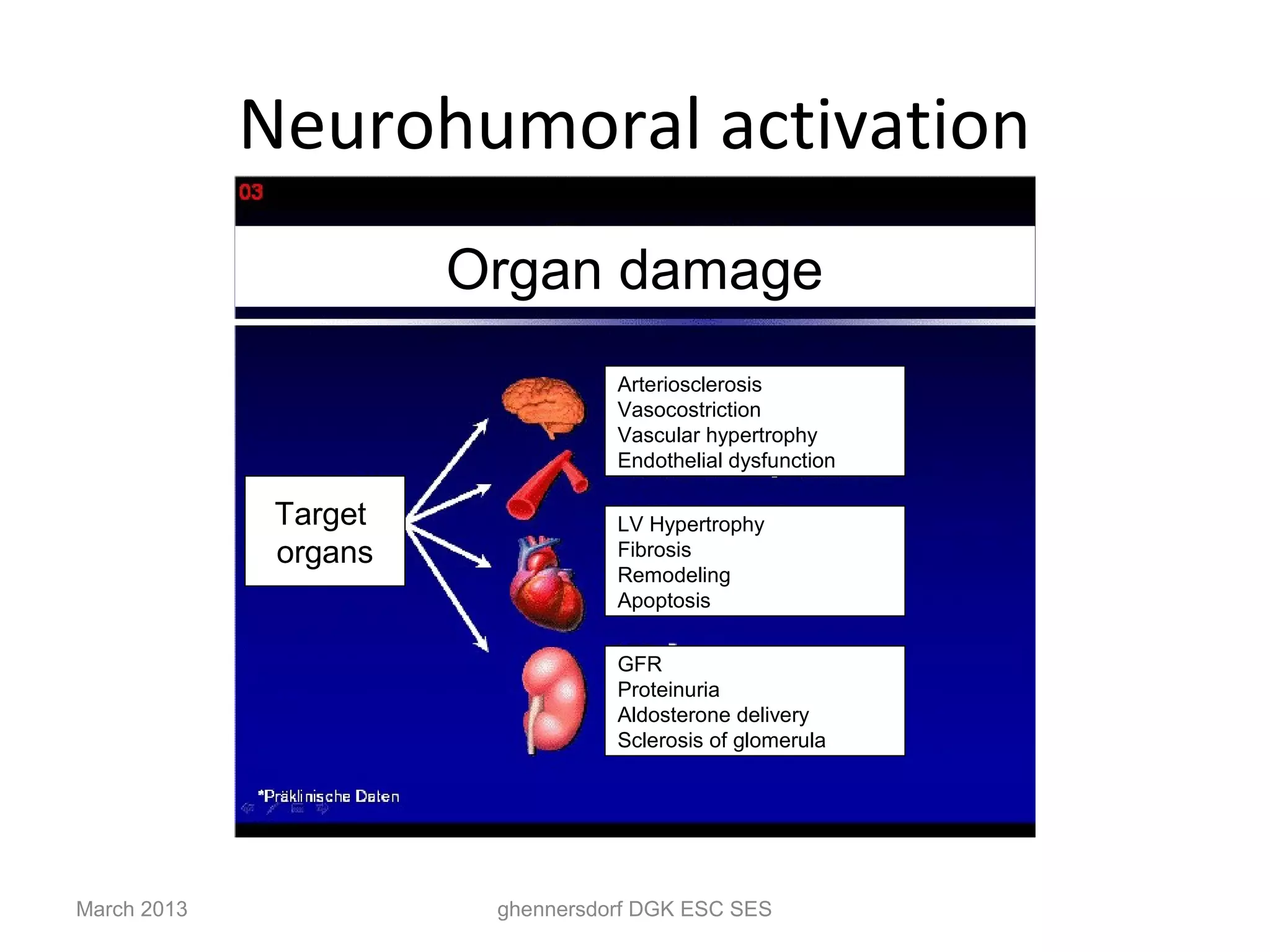 Neurohumoral activation
                       Organ damage
                                  Arteriosclerosis
                                  Vasocostriction
                                  Vascular hypertrophy
                                  Endothelial dysfunction

              Target              LV Hypertrophy
              organs              Fibrosis
                                  Remodeling
                                  Apoptosis


                                  GFR
                                  Proteinuria
                                  Aldosterone delivery
                                  Sclerosis of glomerula




March 2013              ghennersdorf DGK ESC SES
 
