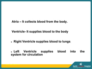 www.healthprice.in
Atria – It collects blood from the body.
Ventricle- It supplies blood to the body
 Right Ventricle supplies blood to lungs
 Left Ventricle supplies blood into the
system for circulation
 