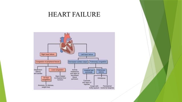 Heart Failure Care Bundle Nursing Care Pptx