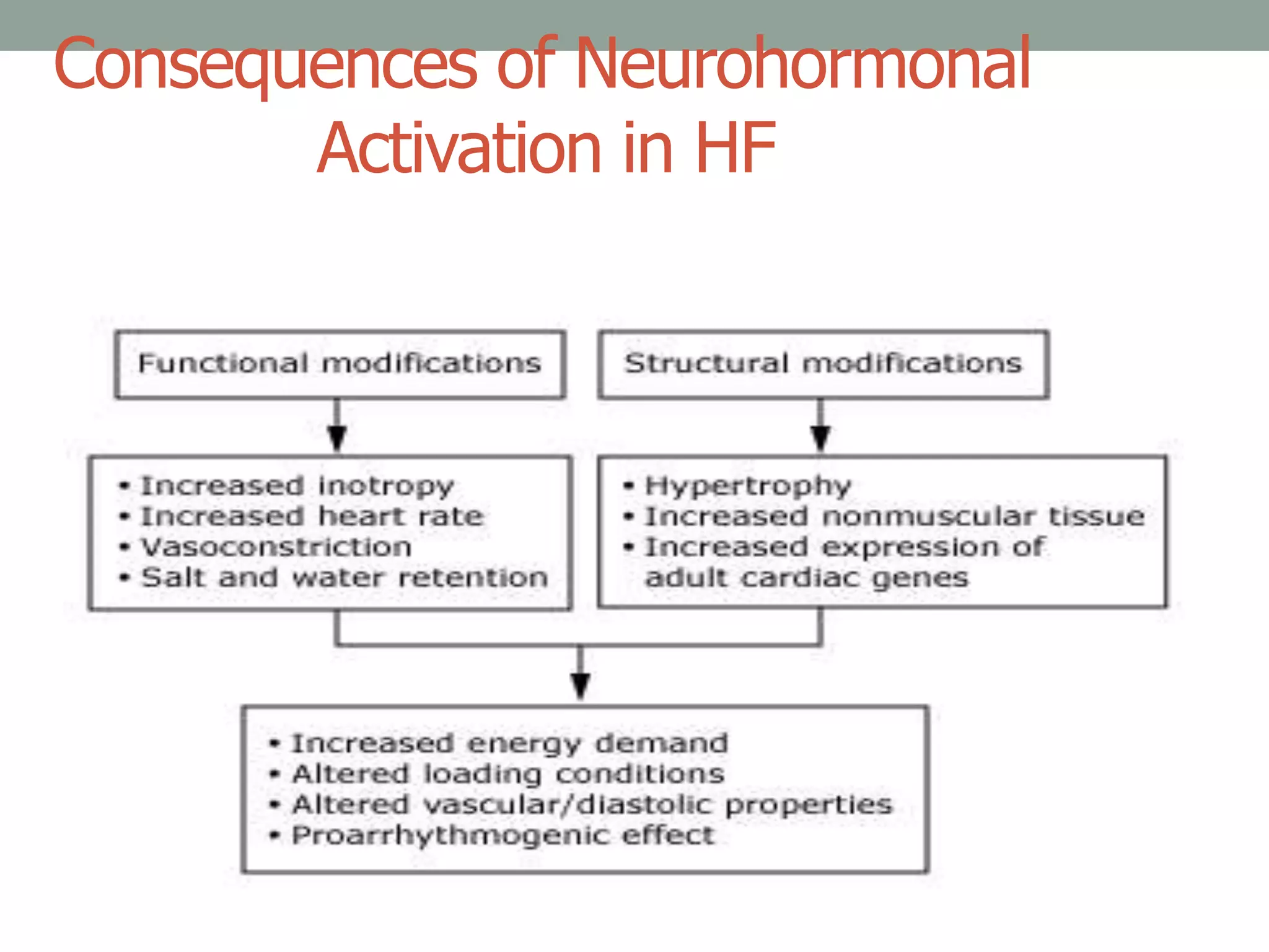 Consequences of Neurohormonal
Activation in HF
 