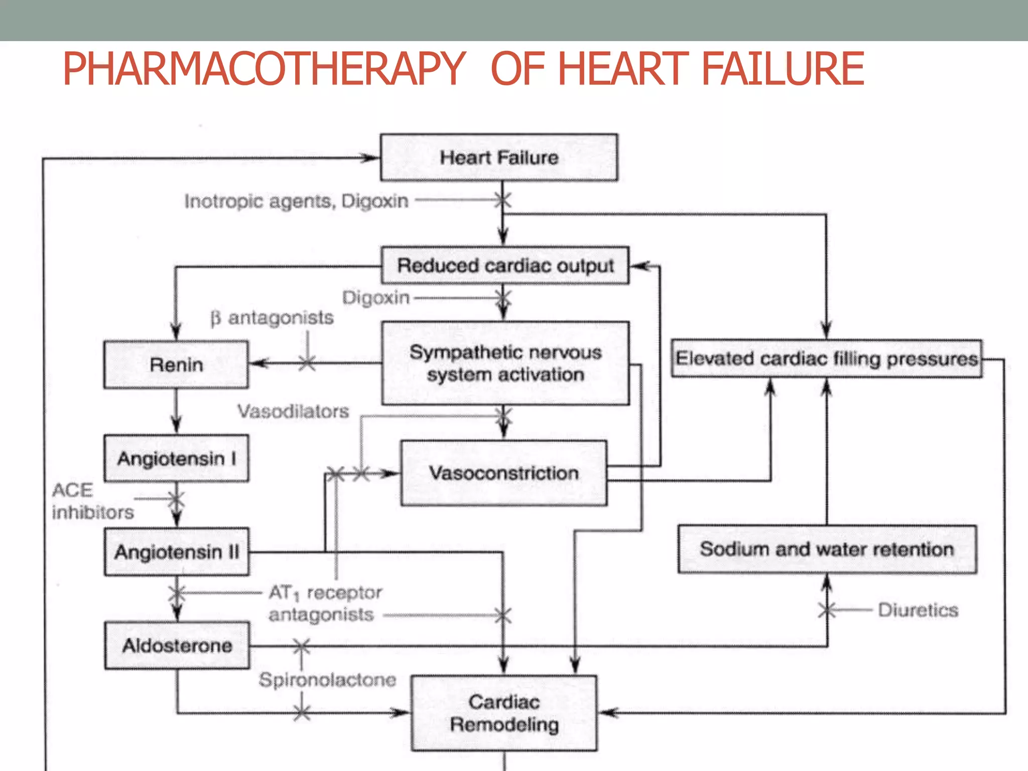 PHARMACOTHERAPY OF HEART FAILURE
 
