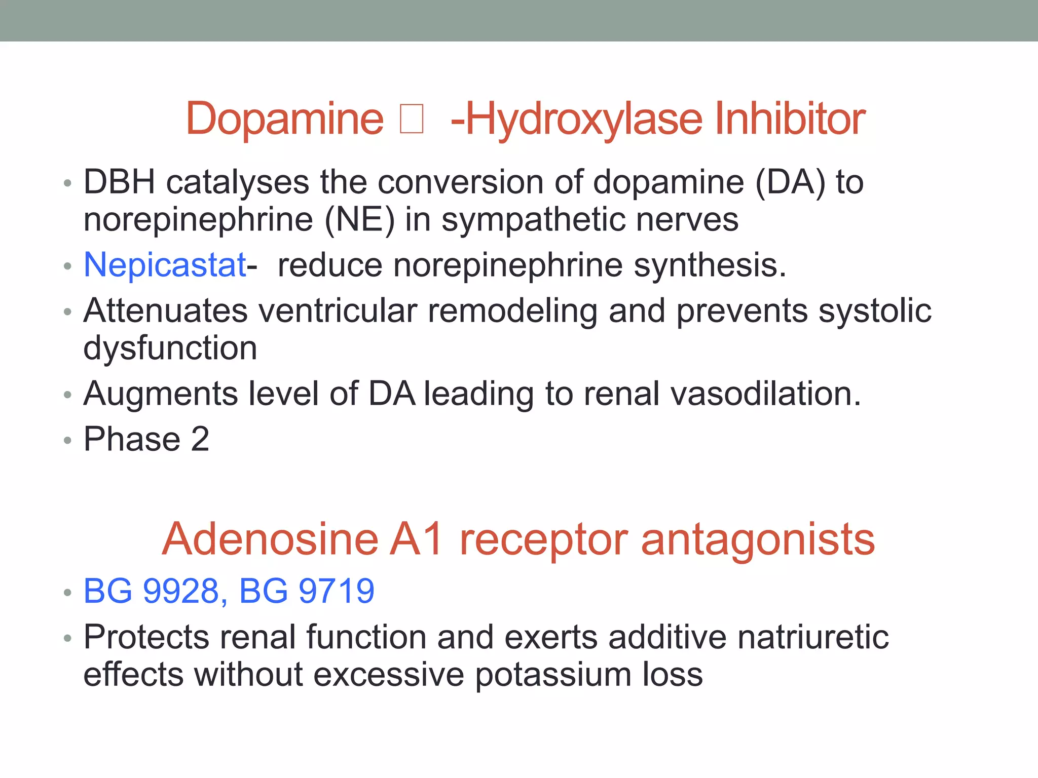 Dopamine -Hydroxylase Inhibitor
• DBH catalyses the conversion of dopamine (DA) to
norepinephrine (NE) in sympathetic nerves
• Nepicastat- reduce norepinephrine synthesis.
• Attenuates ventricular remodeling and prevents systolic
dysfunction
• Augments level of DA leading to renal vasodilation.
• Phase 2
Adenosine A1 receptor antagonists
• BG 9928, BG 9719
• Protects renal function and exerts additive natriuretic
effects without excessive potassium loss
 