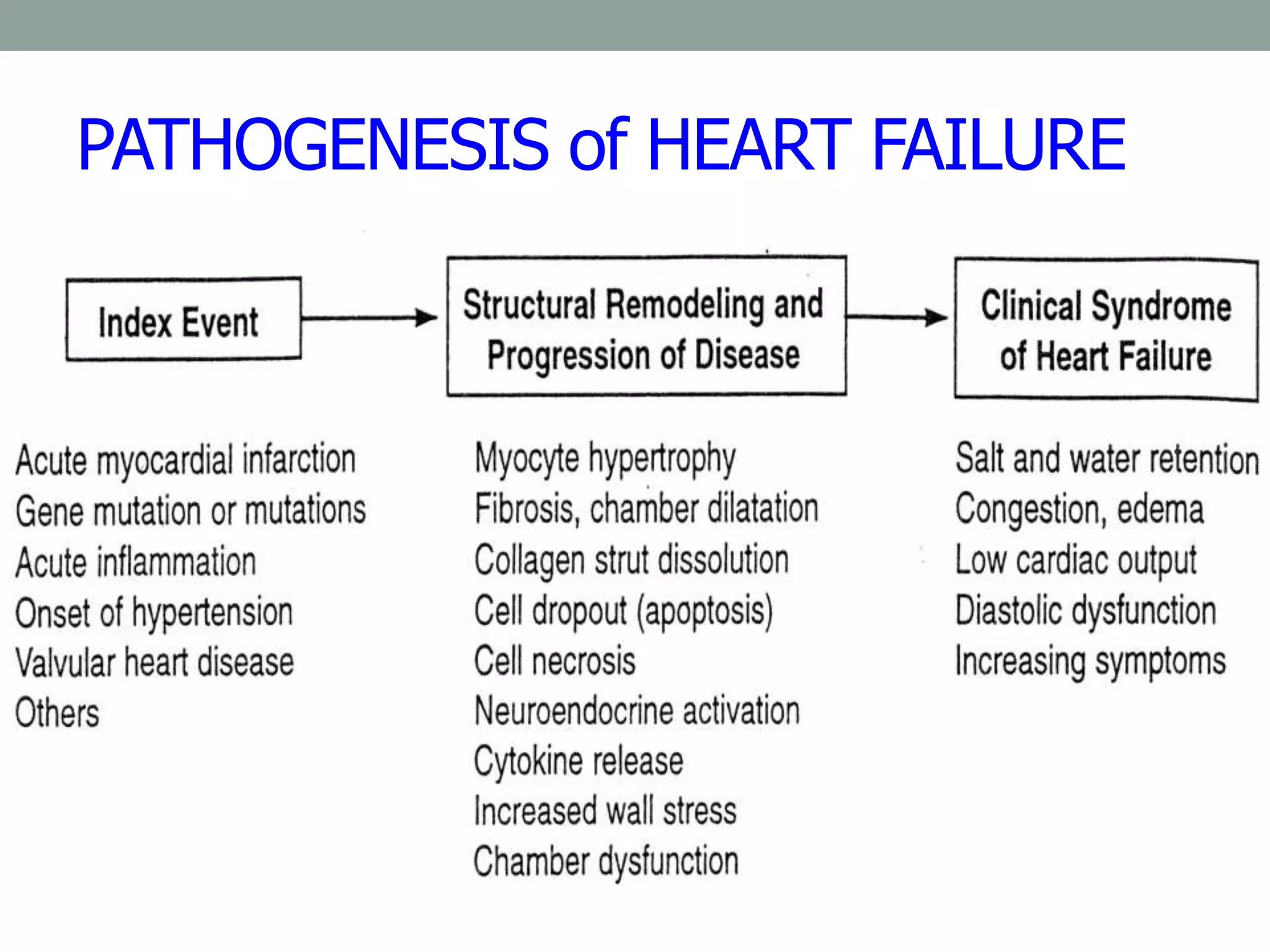 PATHOGENESIS of HEART FAILURE
 