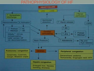 PATHOPHYSIOLOGY OF HF
 