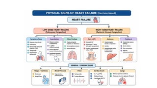 Comprehensive Overview of Heart Failure: Types, Pathophysiology, and ...
