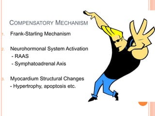 COMPENSATORY MECHANISM
1. Frank-Starling Mechanism
2. Neurohormonal System Activation
- RAAS
- Symphatoadrenal Axis
3. Myocardium Structural Changes
- Hypertrophy, apoptosis etc.
 