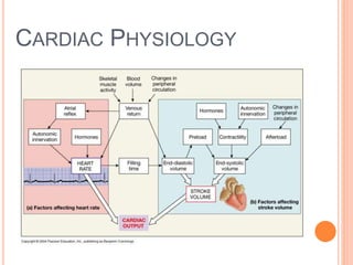 CARDIAC PHYSIOLOGY
 