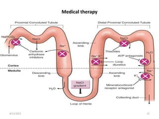 Medical therapy
Diuretics- are usually the first mode of therapy initiated in patients with CHF.
8/12/2022 22
 
