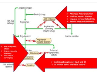 8/12/2022 23
 Afterload Arterial dilation
 Preload Venous dilation
 Improve myocardial activity
 Reduce myocardial fibrosis
 Inhibit reabsorption of Na, k and Cl
 At loop of henle and distal tubules
 Anti‐arrhythmic
effects
 Improve exercise
tolerance
 Free radical
scavenging
 