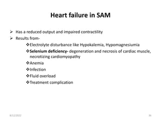 Heart failure in SAM
 Has a reduced output and impaired contractility
 Results from-
Electrolyte disturbance like Hypokalemia, Hypomagnesiumia
Selenium deficiency- degeneration and necrosis of cardiac muscle,
necrotizing cardiomyopathy
Anemia
Infection
Fluid overload
Treatment complication
8/12/2022 36
 
